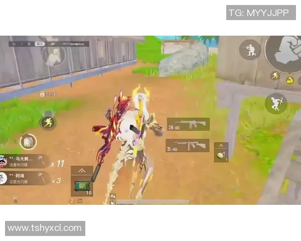 和平精英巨献揭秘WE战队灵活战术与团队配合的奥秘与魅力实时新闻